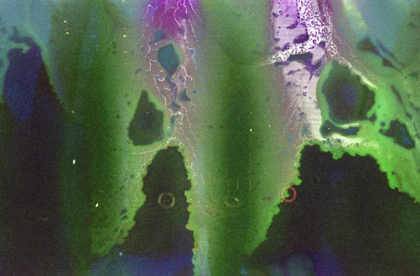 Film Soup 1